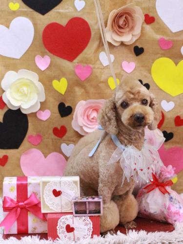 20230215ノンくん